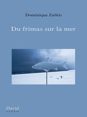 cover image of Du frimas sur la mer